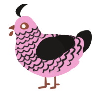 A pink and sable chicken with a lace pattern
