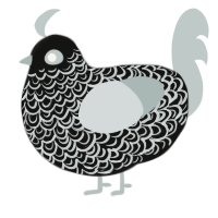 Vow, a black and silver chicken with a double-lace pattern