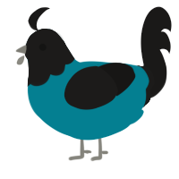 angel tears, a sea and sable chicken with a head pattern