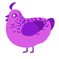 A orchid and violet chicken with a half-lace pattern
