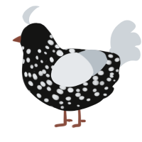 (unnamed), a black and mist chicken with a speckle pattern