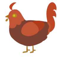 Volpe, a russet and vermilion chicken with a head pattern