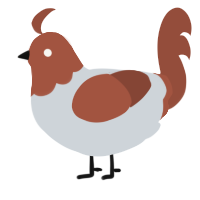 A mist and russet chicken with a head pattern
