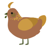 stick, a brown and gold chicken with a neck-speckle pattern