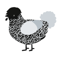 beyond the veil, a black and mist chicken with a double-lace pattern
