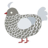 Whirlwind, a ash and mist chicken with a lace pattern