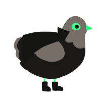Set, a sable and grey chicken with a head pattern