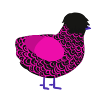 Nightclub, a black and fuchsia chicken with a double-lace pattern