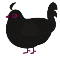 Chiyo, a black and sable chicken with a double-lace pattern