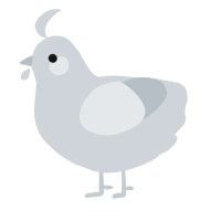 mist, a mist chicken
