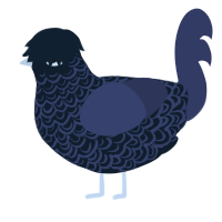 Show No Caress, a tumblr and navy chicken with a double-lace pattern