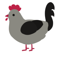 Chicken, a ash and sable chicken