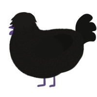 A sable and black chicken with a double-lace pattern