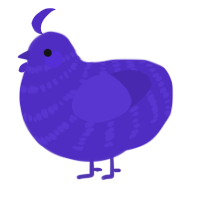 A indigo chicken with a bar pattern
