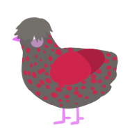 A grey and crimson chicken with a speckle pattern