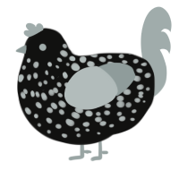 truffle, a black and silver chicken with a speckle pattern