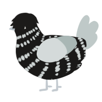Gerry, a sable and silver chicken with a bar pattern