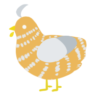 Cheese, a honey and mist chicken with a bar pattern
