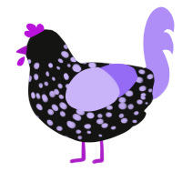 (unnamed), a black and lilac chicken with a speckle pattern