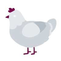 A mist chicken with a head pattern