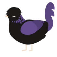 Hex, a sable and overcast chicken with a neck-speckle pattern