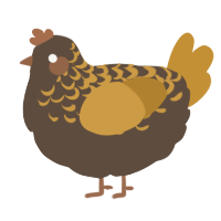 Oat, a bark and gold chicken with a half-lace pattern