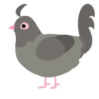 pidge, a ash and grey chicken with a head pattern