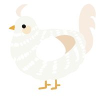 Angel, a white and cream chicken with a bar pattern