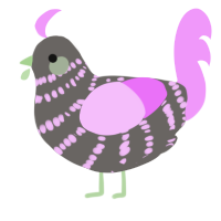 A grey and lavender chicken with a bar pattern