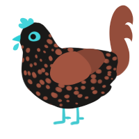 A sable and russet chicken with a speckle pattern