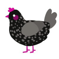 fuchaina, a black and grey chicken with a speckle pattern