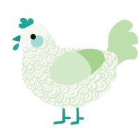Zucchini, a white and gluppy chicken with a double-lace pattern
