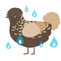 Treble, a bark and beige chicken with a half-lace pattern