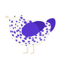 A white and indigo chicken with a speckle pattern