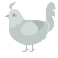 Adonis, a silver chicken with a head pattern