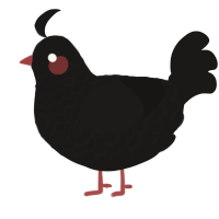 Soot, a sable chicken with a lace pattern