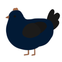 A tumblr and sable chicken