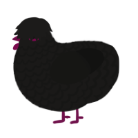 A sable and black chicken with a lace pattern