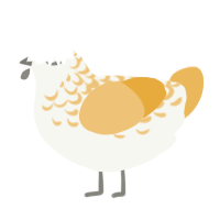 A white and honey chicken with a half-lace pattern