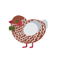 Gingerbread Baby, a russet and mist chicken with a lace pattern
