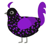 A black and violet chicken with a speckle pattern