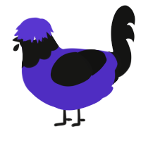 (unnamed), a indigo and black chicken with a head pattern