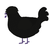 A black chicken with a lace pattern