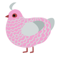 (unnamed), a pink and silver chicken with a lace pattern