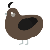 coprolite, a bark and sable chicken