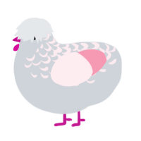 A mist and rose chicken with a half-lace pattern