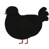 emo batblob, a black chicken with a speckle pattern