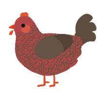 A red and bark chicken with a double-lace pattern