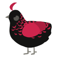 A black and crimson chicken with a half-lace pattern