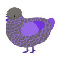 A grey and blurple chicken with a lace pattern